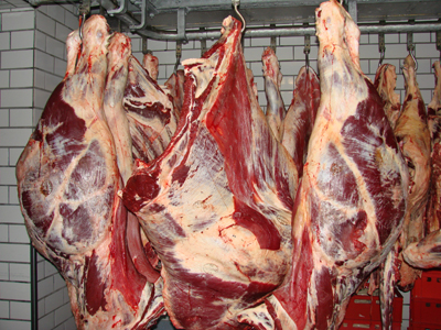 Rindfleisch wird weiter gut nachgefragt. Rindfleisch wird weiter gut nachgefragt.