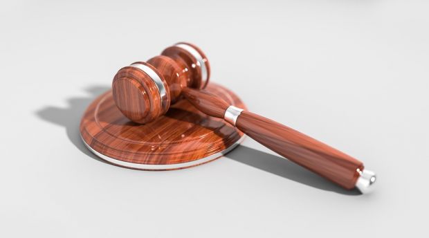 Advocate General Wahl proposes that the Court find that products from animals that have been the subject of ritual slaughter without prior stunning can be issued the European ‘organic farming’ label. Advocate General Wahl proposes that the Court find that products from animals that have been the subject of ritual slaughter without prior stunning can be issued the European ‘organic farming’ label.