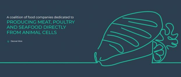 The Alliance for Meat, Poultry & Seafood Innovation is a coalition of food companies dedicated to producing meat, poultry and seafood directly from animal cells. The Alliance for Meat, Poultry & Seafood Innovation is a coalition of food companies dedicated to producing meat, poultry and seafood directly from animal cells.