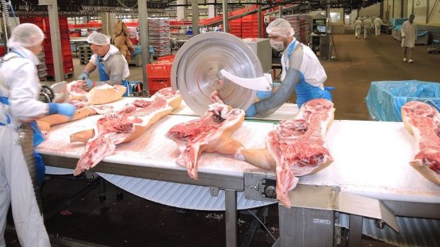 Cutting pig sides. Around 90 per cent of the goods are sold abroad. Cutting pig sides. Around 90 per cent of the goods are sold abroad.