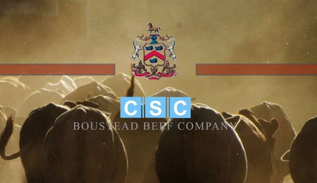 The Cabinet has approved a joint venture between the Cold Storage Company (CSC) and a United Kingdom firm, Boustead Beef (Pvt) Limited. The Cabinet has approved a joint venture between the Cold Storage Company (CSC) and a United Kingdom firm, Boustead Beef (Pvt) Limited.