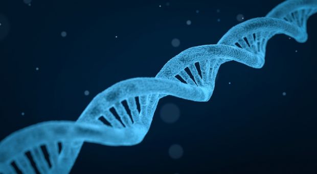 Additional information about the production, composition, and safety of cell-cultured protein is needed to inform the development of a comprehensive framework that protects consumers. Additional information about the production, composition, and safety of cell-cultured protein is needed to inform the development of a comprehensive framework that protects consumers.