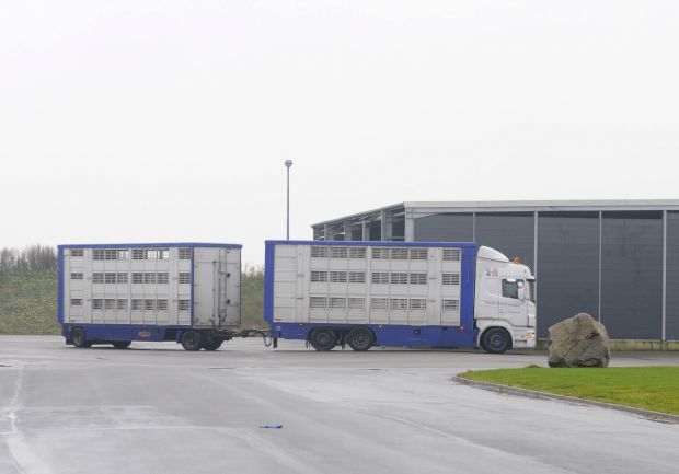 Through an international cooperation, the Danish Technological Institute will exploit data to create increased animal welfare at all stages in pig production. Through an international cooperation, the Danish Technological Institute will exploit data to create increased animal welfare at all stages in pig production.