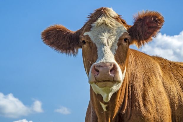 The IFA President said urgent action is required now by the Minister for Agriculture Michael Creed and the government. The IFA President said urgent action is required now by the Minister for Agriculture Michael Creed and the government.