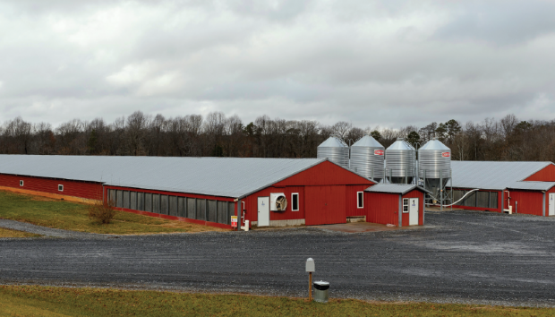 The portfolio strategy and geographic diversification reduced the impact of challenging market conditions, specifically in US commodity chicken. The portfolio strategy and geographic diversification reduced the impact of challenging market conditions, specifically in US commodity chicken.