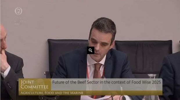IFA President Joe Healy said IFA has calculated that beef farmers have already incurred Brexit losses of €101 Mill. since last autumn. IFA President Joe Healy said IFA has calculated that beef farmers have already incurred Brexit losses of €101 Mill. since last autumn.