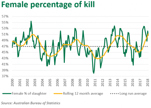 The proportion of female slaughter is a key metric when analysing movements in the national herd and, more specifically, whether a liquidation or expansionary phase is occurring. The proportion of female slaughter is a key metric when analysing movements in the national herd and, more specifically, whether a liquidation or expansionary phase is occurring.