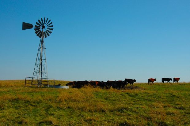 The National Cattlemen’s Beef Association (NCBA) released its official Policy Priorities for 2019. The National Cattlemen’s Beef Association (NCBA) released its official Policy Priorities for 2019.