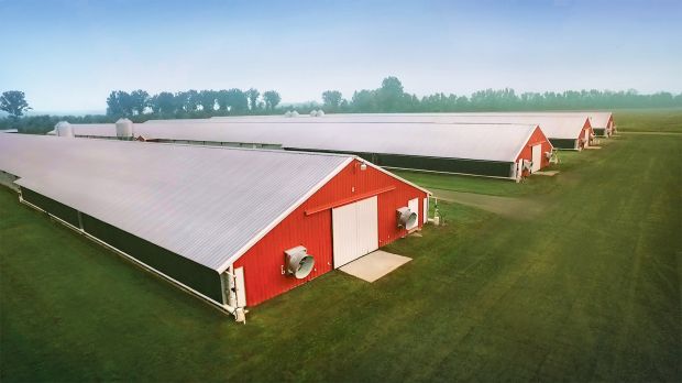 Joe F. Sanderson, Jr., chairman and chief executive officer of Sanderson Farms, also explains that the company is cautiously optimistic as they enter fiscal and calendar 2020. Joe F. Sanderson, Jr., chairman and chief executive officer of Sanderson Farms, also explains that the company is cautiously optimistic as they enter fiscal and calendar 2020.