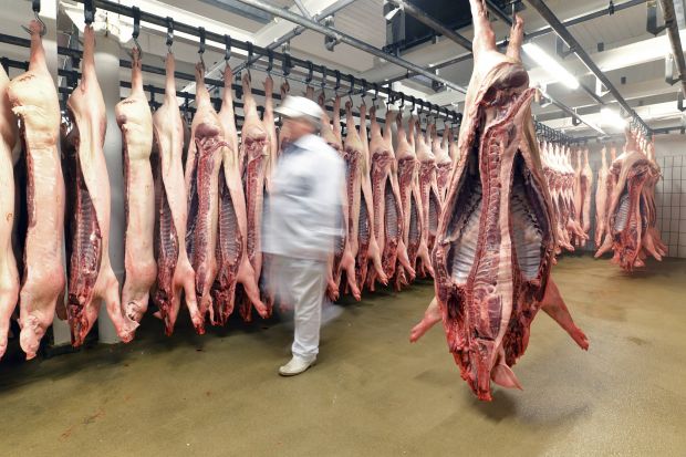 Meat processing is highly labour intensive, with large numbers of staff working at close quarters. Meat processing is highly labour intensive, with large numbers of staff working at close quarters.