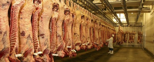 Key advantages under the IA-CEPA for red meat exporters include immediate reductions (and eventual elimination) of tariffs for boxed beef and sheepmeat lines not already addressed under the ASEAN-Australia-New Zealand FTA (AANZFTA). Key advantages under the IA-CEPA for red meat exporters include immediate reductions (and eventual elimination) of tariffs for boxed beef and sheepmeat lines not already addressed under the ASEAN-Australia-New Zealand FTA (AANZFTA).