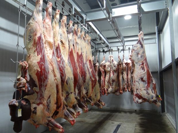 In the abattoir, the system will use new technology – 3D imaging and fat sensing – to provide a more accurate and detailed measurement of carcasses and their components. In the abattoir, the system will use new technology – 3D imaging and fat sensing – to provide a more accurate and detailed measurement of carcasses and their components.