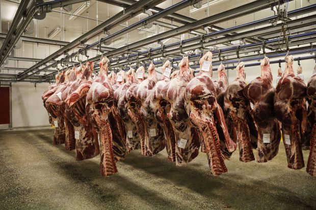 Given the very strong demand for imported protein, China has been active in approving plants for access to the Chinese market. Given the very strong demand for imported protein, China has been active in approving plants for access to the Chinese market.