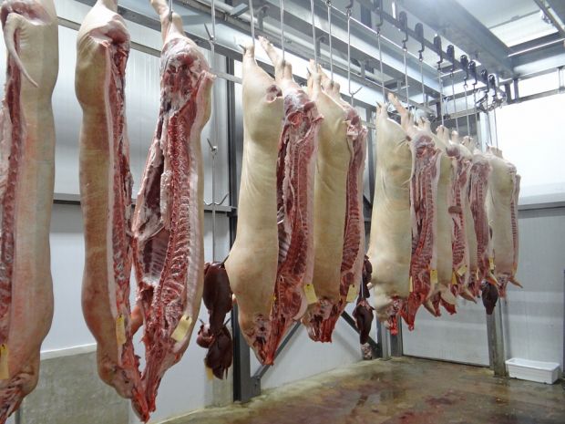 China’s need to lift imports will incentivise continued growth in key exporting countries, but how much pork China will import remains uncertain. China’s need to lift imports will incentivise continued growth in key exporting countries, but how much pork China will import remains uncertain.