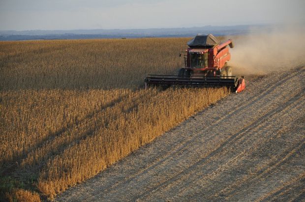 It takes a vast amount of land and water to facilitate the now high demand for soy. It takes a vast amount of land and water to facilitate the now high demand for soy.