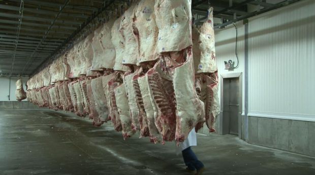 The plant processed about 6,000 cattle per day, representing around 5% of the total industry and a bit over 20% of Tyson’s capacity. The plant processed about 6,000 cattle per day, representing around 5% of the total industry and a bit over 20% of Tyson’s capacity.