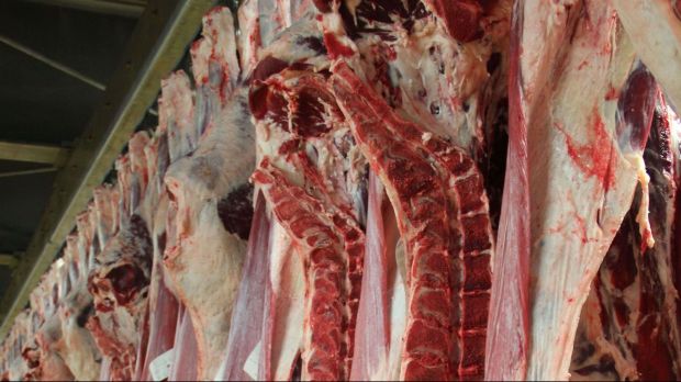 US imported beef prices are yet to register a similar magnitude rally as domestic wholesale values. US imported beef prices are yet to register a similar magnitude rally as domestic wholesale values.