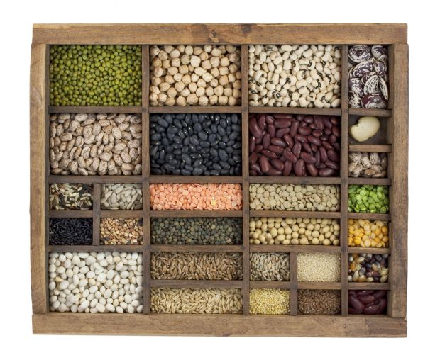 The use of plant-based raw materials such as soy, wheat, or peas generates up to less than one-tenth of the greenhouse gases compared to beef. The use of plant-based raw materials such as soy, wheat, or peas generates up to less than one-tenth of the greenhouse gases compared to beef.