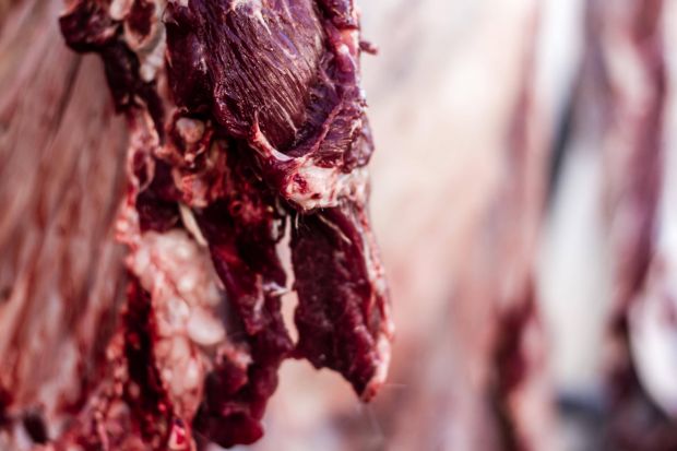 Over the past four months deadweight cattle prices across Europe have largely been on the rise. Over the past four months deadweight cattle prices across Europe have largely been on the rise.