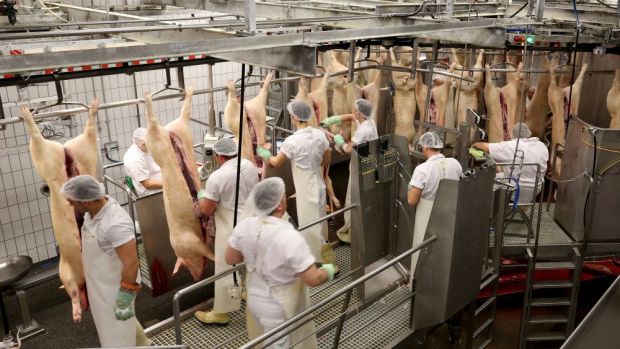 In a joint study the origins of the first SARS CoV-2 outbreak in May 2020 at Tönnies in Rheda-Wiedenbrück, the largest meat processing complex in Germany, were investigated. In a joint study the origins of the first SARS CoV-2 outbreak in May 2020 at Tönnies in Rheda-Wiedenbrück, the largest meat processing complex in Germany, were investigated.