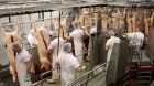 Schlachtung Tönnies Rheda Schlachtung Tönnies Rheda