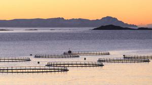 Fisch Farm Norwegen